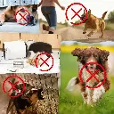 Deter Unwanted Behaviour - Precision Beam Ultrasonic Dog Trainer