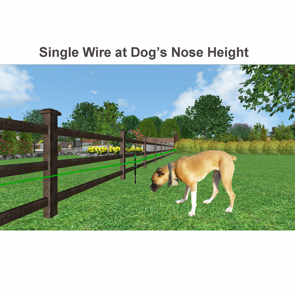 Single wire at dog nose height