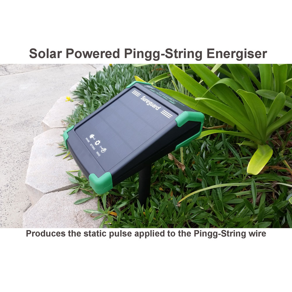 Solar Powered Pingg-String Energiser