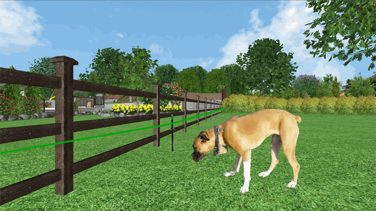 Canine 2024 electric fence